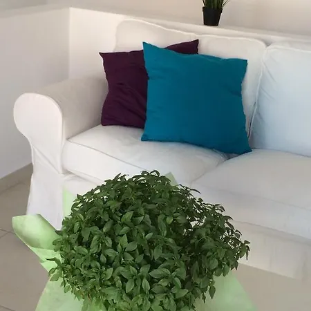 Apartament Cosy Stylish House