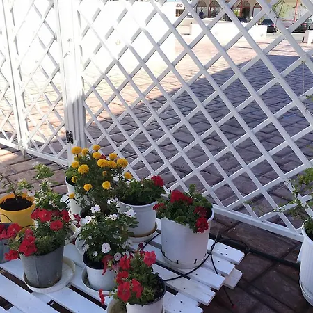Apartmán Cosy Stylish House Megalochori (Santorini)